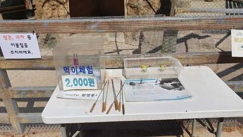 캣맘이 생기게 되는 근본적인 원인 ㄷㄷㄷㄷ_3.jpg