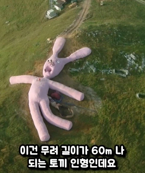 구글 어스에 찍힌 거대 인형 토끼.jpg_1.webp