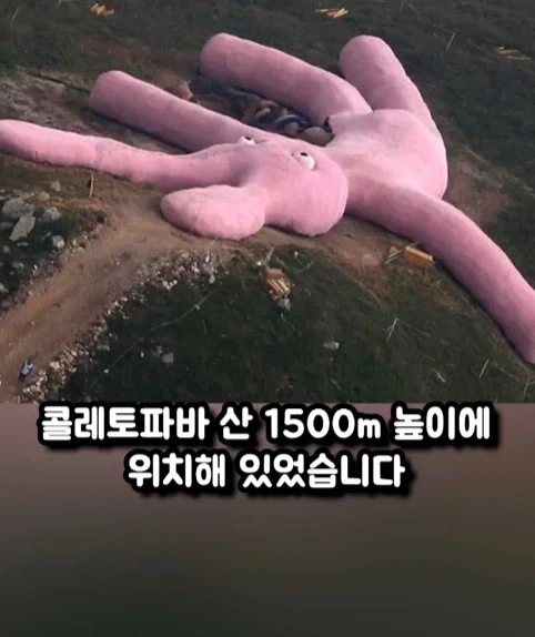 구글 어스에 찍힌 거대 인형 토끼.jpg_3.webp