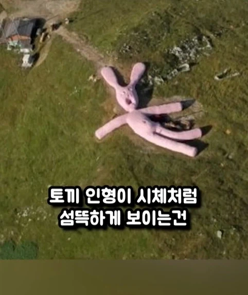 구글 어스에 찍힌 거대 인형 토끼.jpg_6.webp