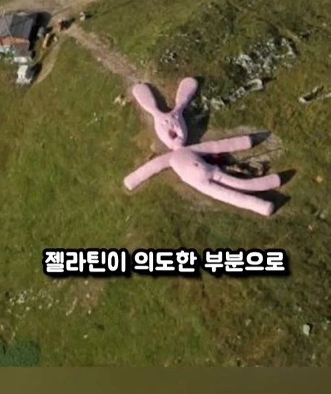 구글 어스에 찍힌 거대 인형 토끼.jpg_7.webp