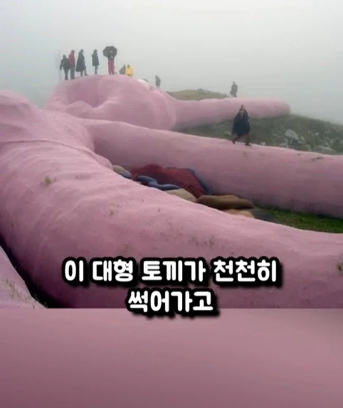 구글 어스에 찍힌 거대 인형 토끼.jpg_8.webp