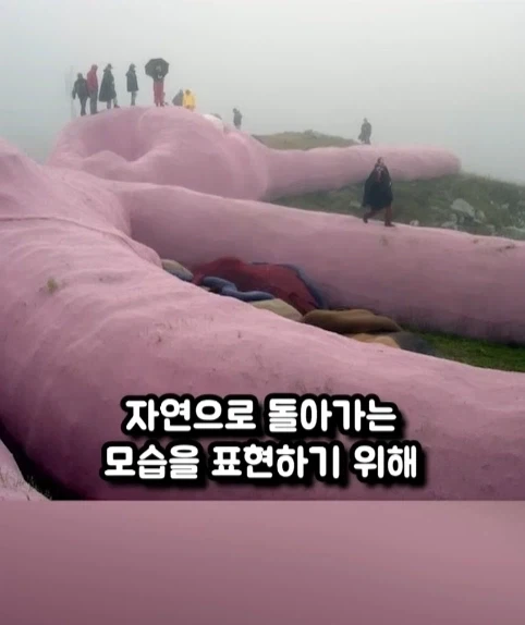 구글 어스에 찍힌 거대 인형 토끼.jpg_9.webp