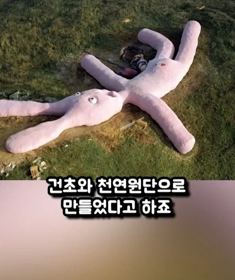 구글 어스에 찍힌 거대 인형 토끼.jpg_10.webp