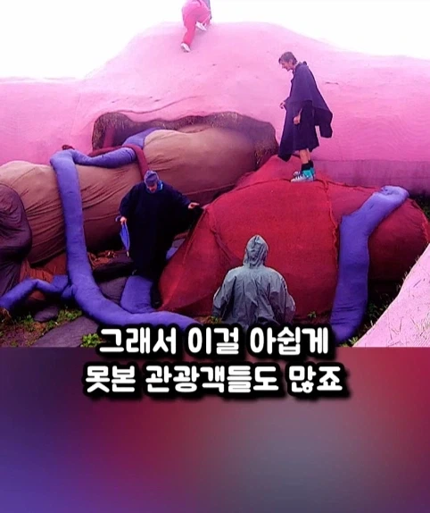 구글 어스에 찍힌 거대 인형 토끼.jpg_14.webp
