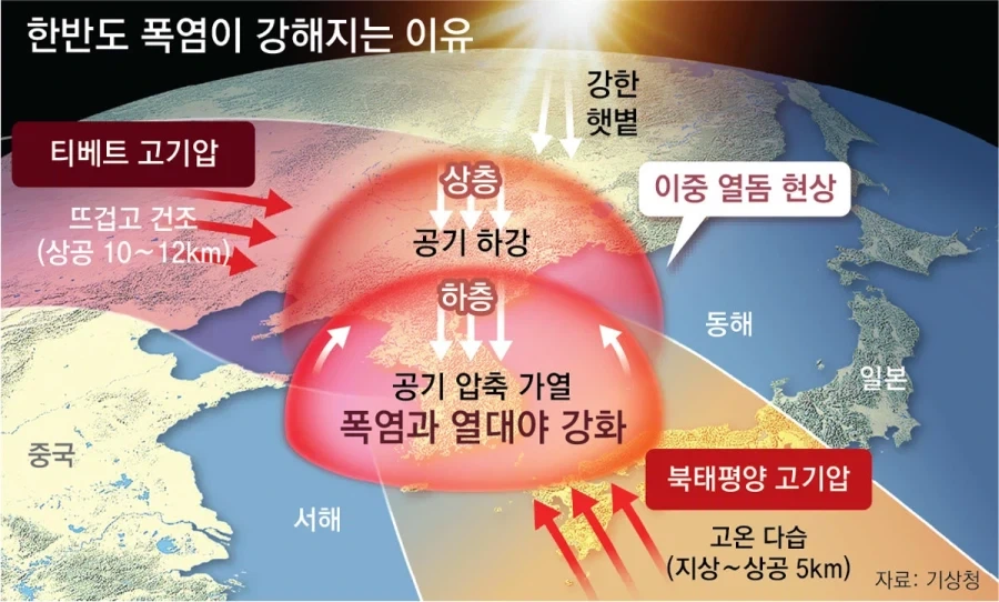 열돔 씨1발 새끼_2.webp