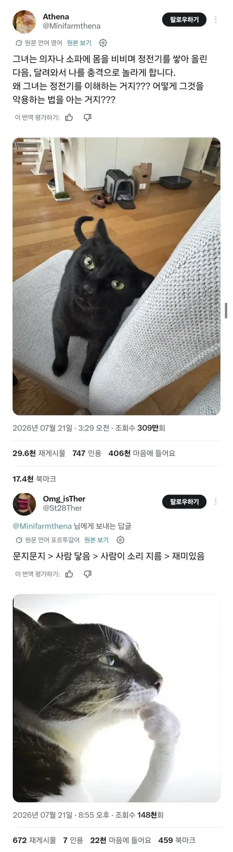 누가 고양이는 멍청하다고 했는가_1.webp