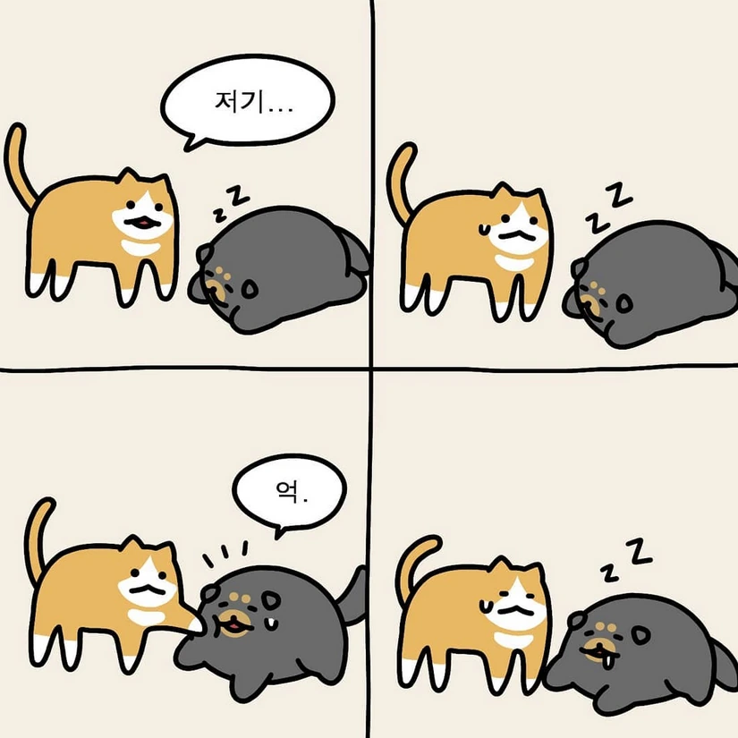 캡처_2021_06_22_00_12_50_168.png