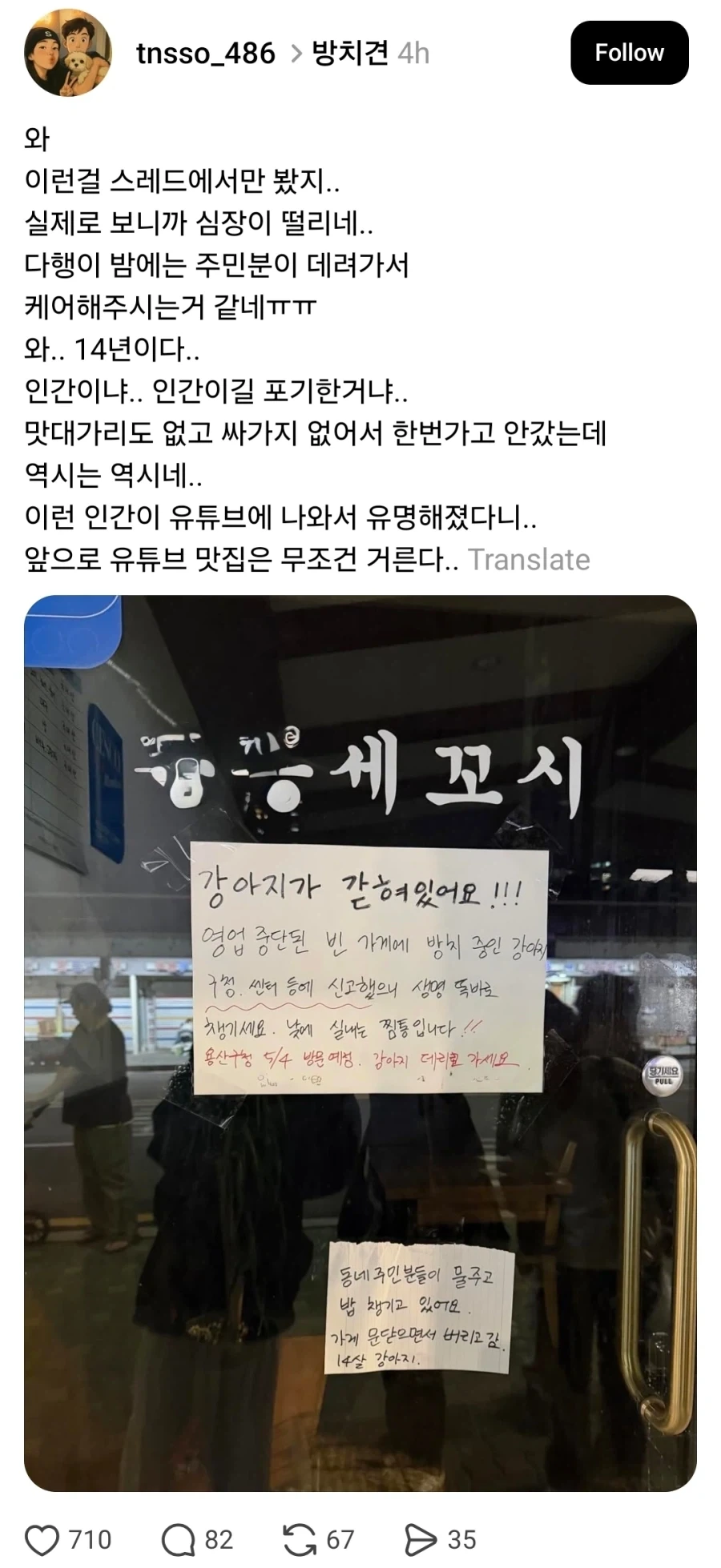 14살 노견 버리고 간 식당 주인_1.webp