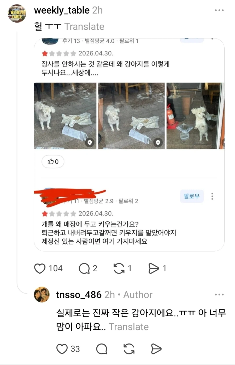 14살 노견 버리고 간 식당 주인_2.webp