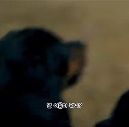 서양에서도 이상한 이름인것_5.webp
