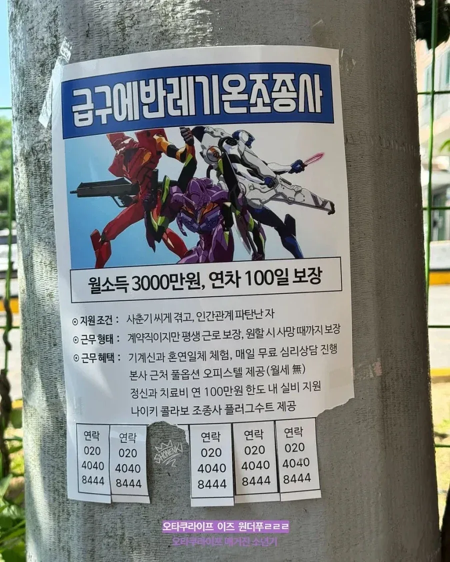 월 3천 연차 100일 꿈의 직장_1.webp