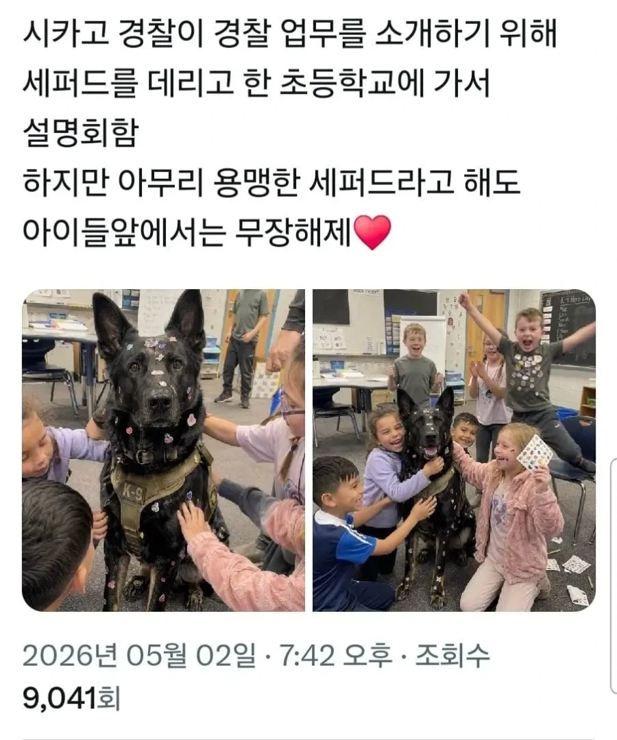 초등학교에 난입한 경찰견_1.webp