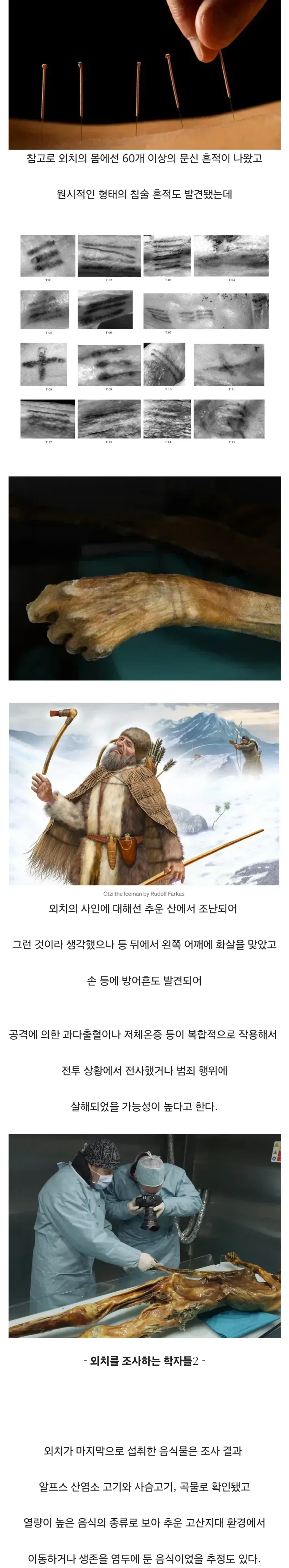 얼음속에서 발견된 5천년전 미라.webp_4.webp