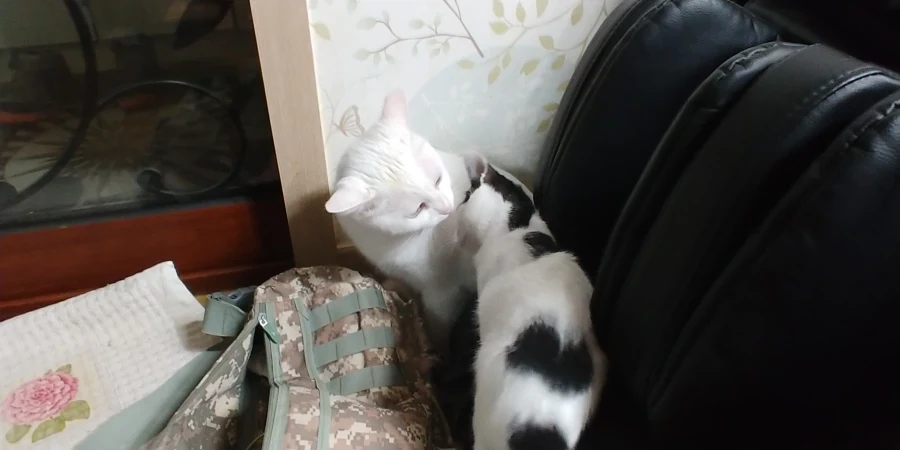 추천내놔_3.webp