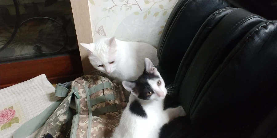 추천내놔_4.webp