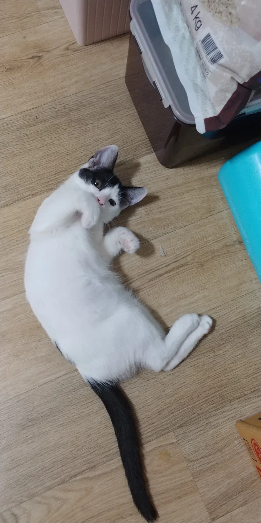 추천내놔_6.webp