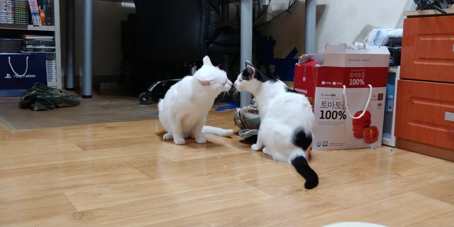 추천내놔_8.webp