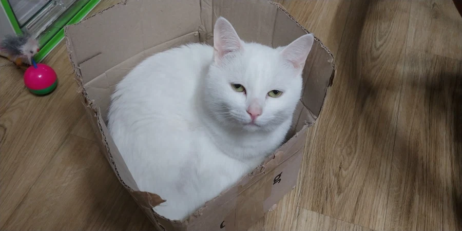 추천내놔_12.webp