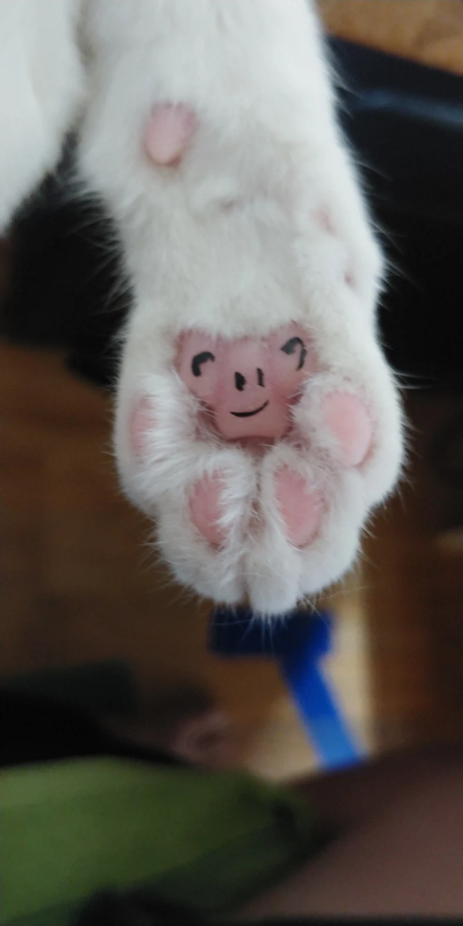 추천내놔_13.webp