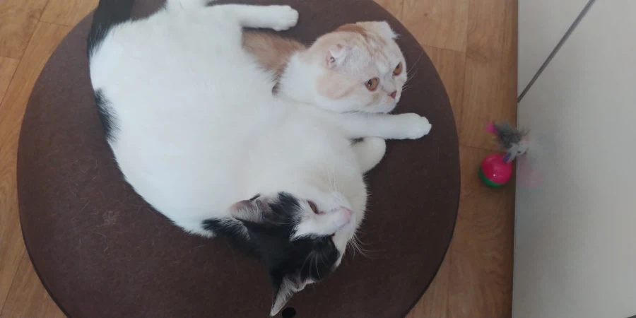 추천내놔_18.webp