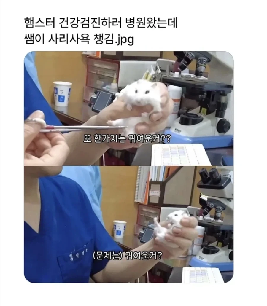 사심 채울려고 의사하는_1.webp