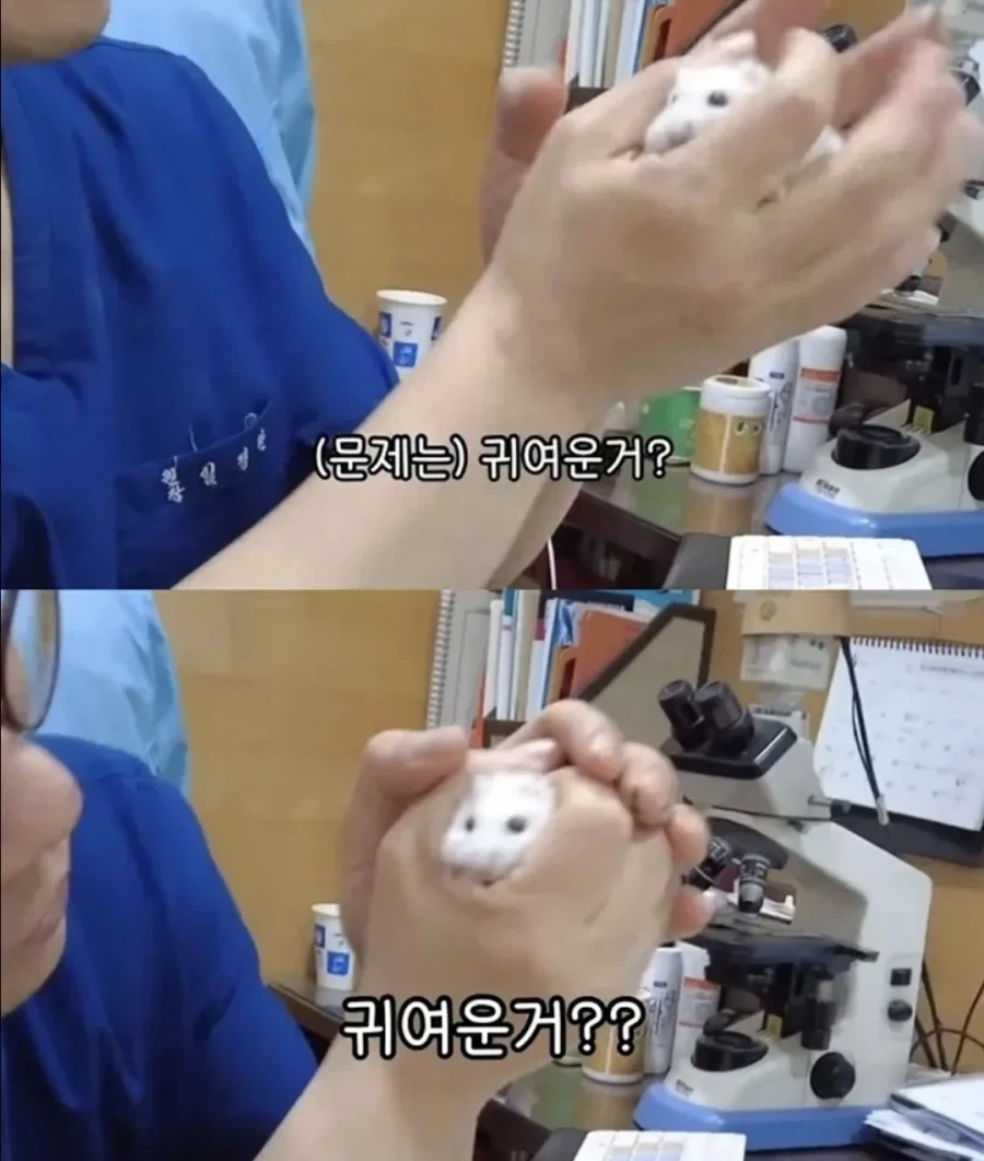 사심 채울려고 의사하는_2.webp