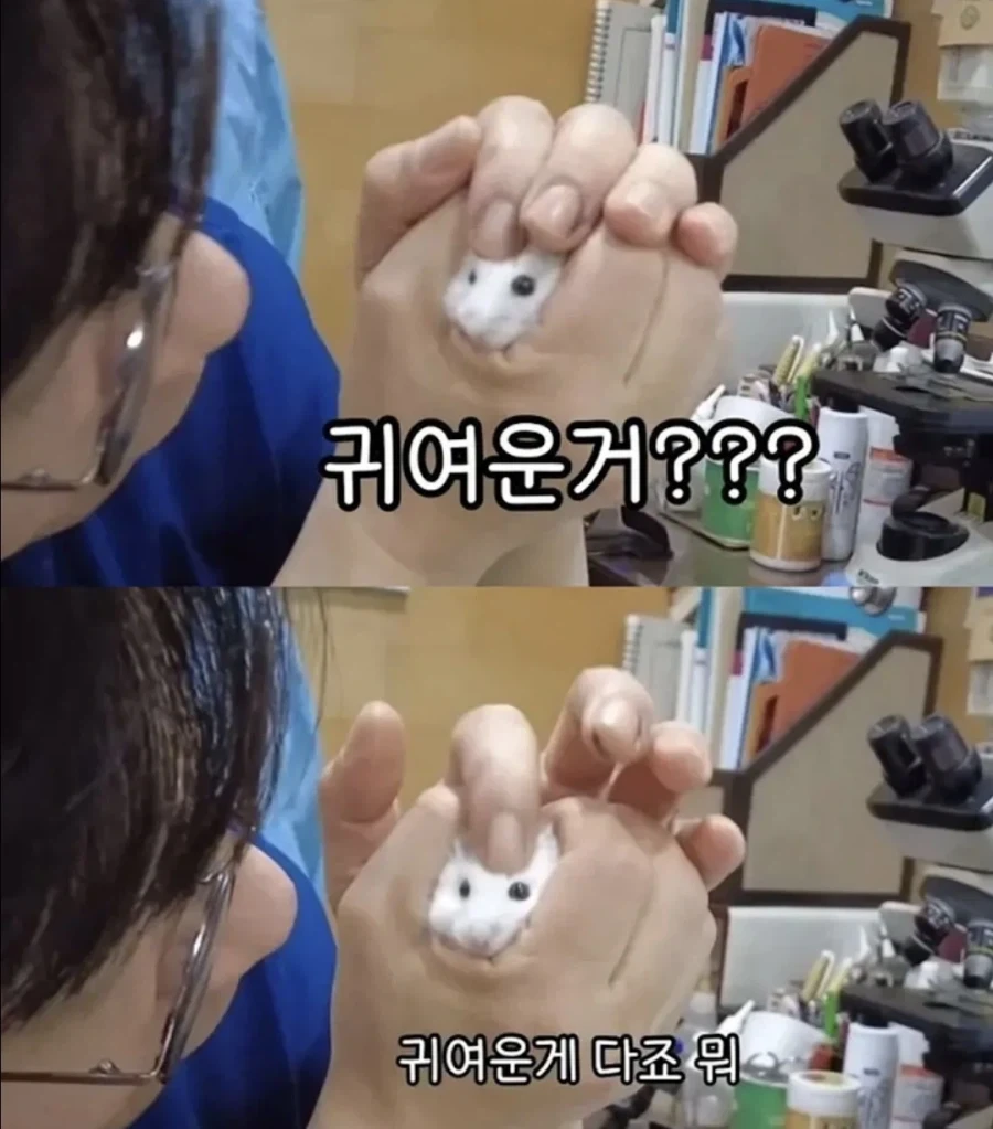 사심 채울려고 의사하는_3.webp