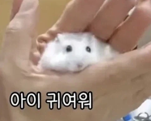 사심 채울려고 의사하는_6.webp