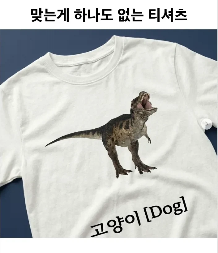 맞는 게 하나도 없는 티셔츠_1.webp