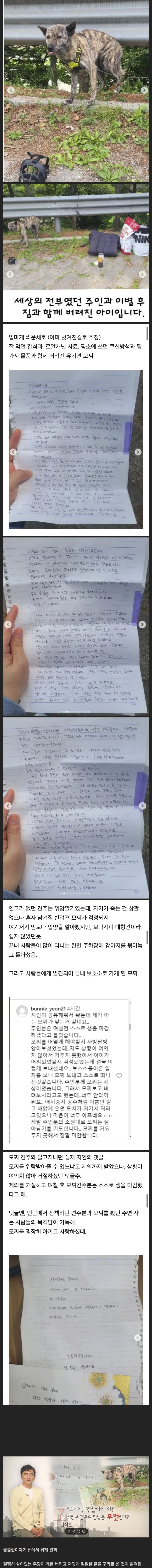 탄천 주차장 버려진 강아지 결말_1.webp