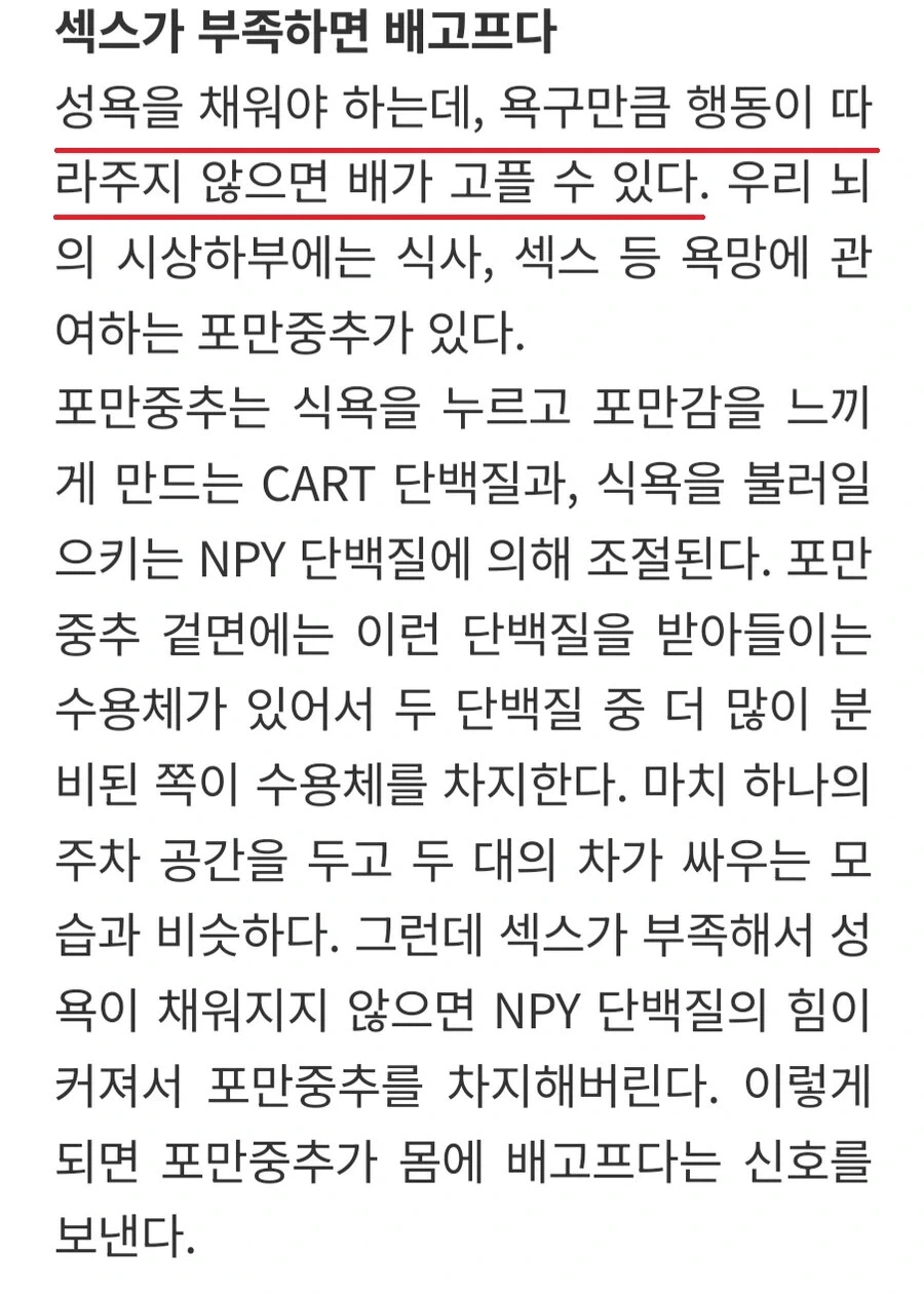배가 자주고픈 이유_1.webp