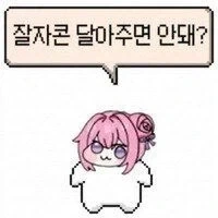 짤녀 꼴리면 자러감_2.webp
