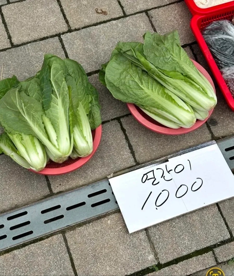 시장에서 볼 수 있는 이상한 한국어_6.webp