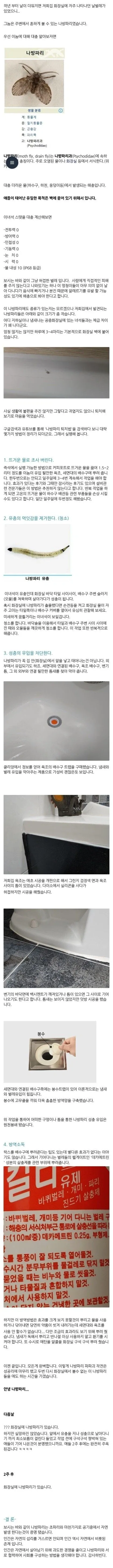 나방파리 없애는 팁_1.webp