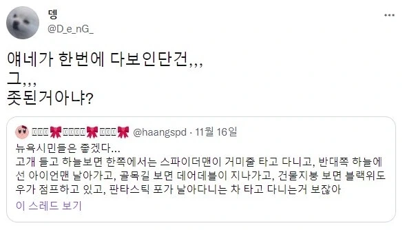 MCU) 뉴욕 시민들이 부러운 이유_1.webp