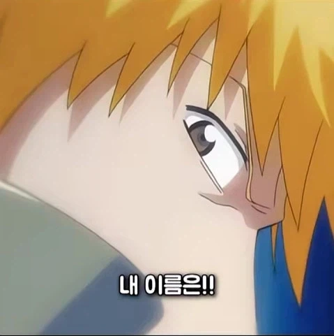 블리치 극초반 찐빠_4.webp