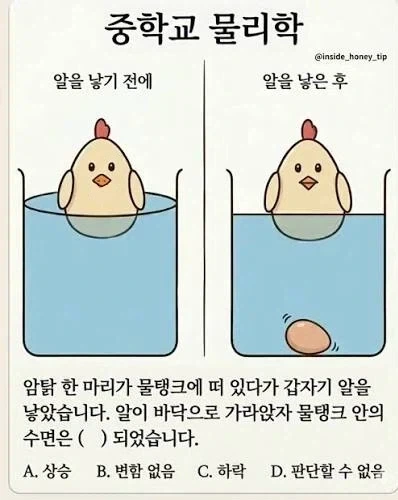 닭알 수면 문제 ai한테 물어보니 잘 설명해줌_1.webp