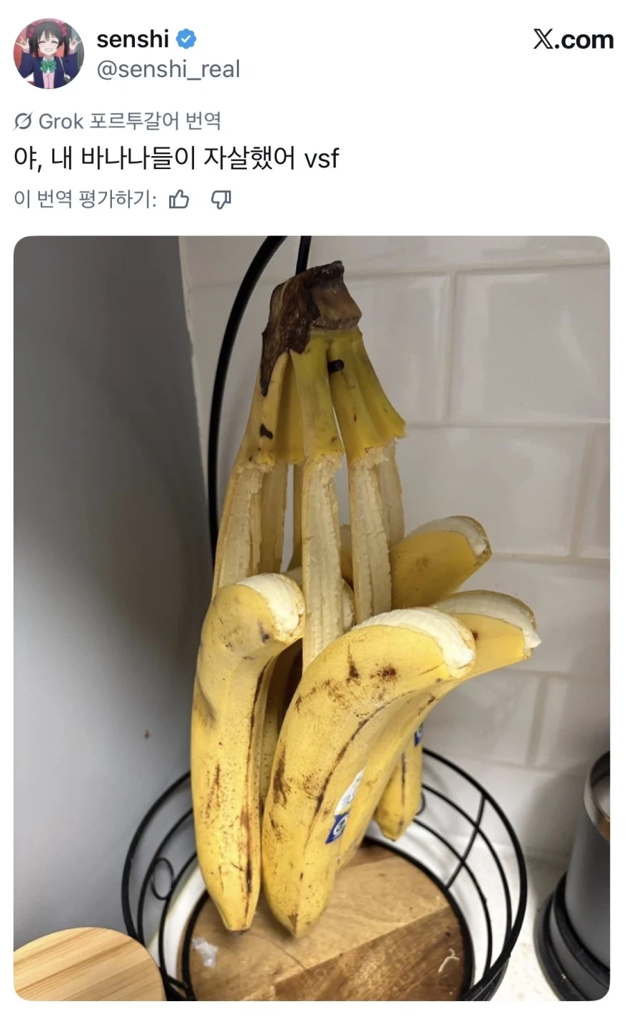 야 내 바나나가 자1살했어_1.webp