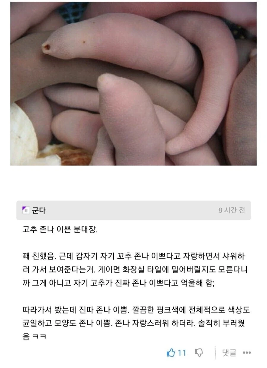 실제로 예쁜 꼬츄를 본 디시인사이드 유저.jpg_1.webp