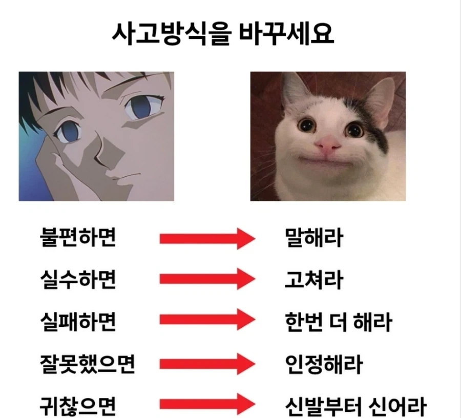 인생에서 필요한 능력.jpg_1.webp