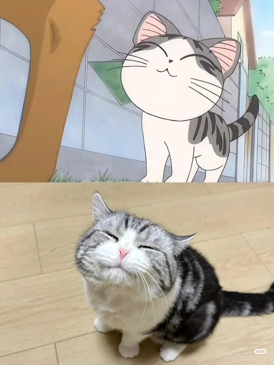 랜덤 동물짤.jpg_12.webp