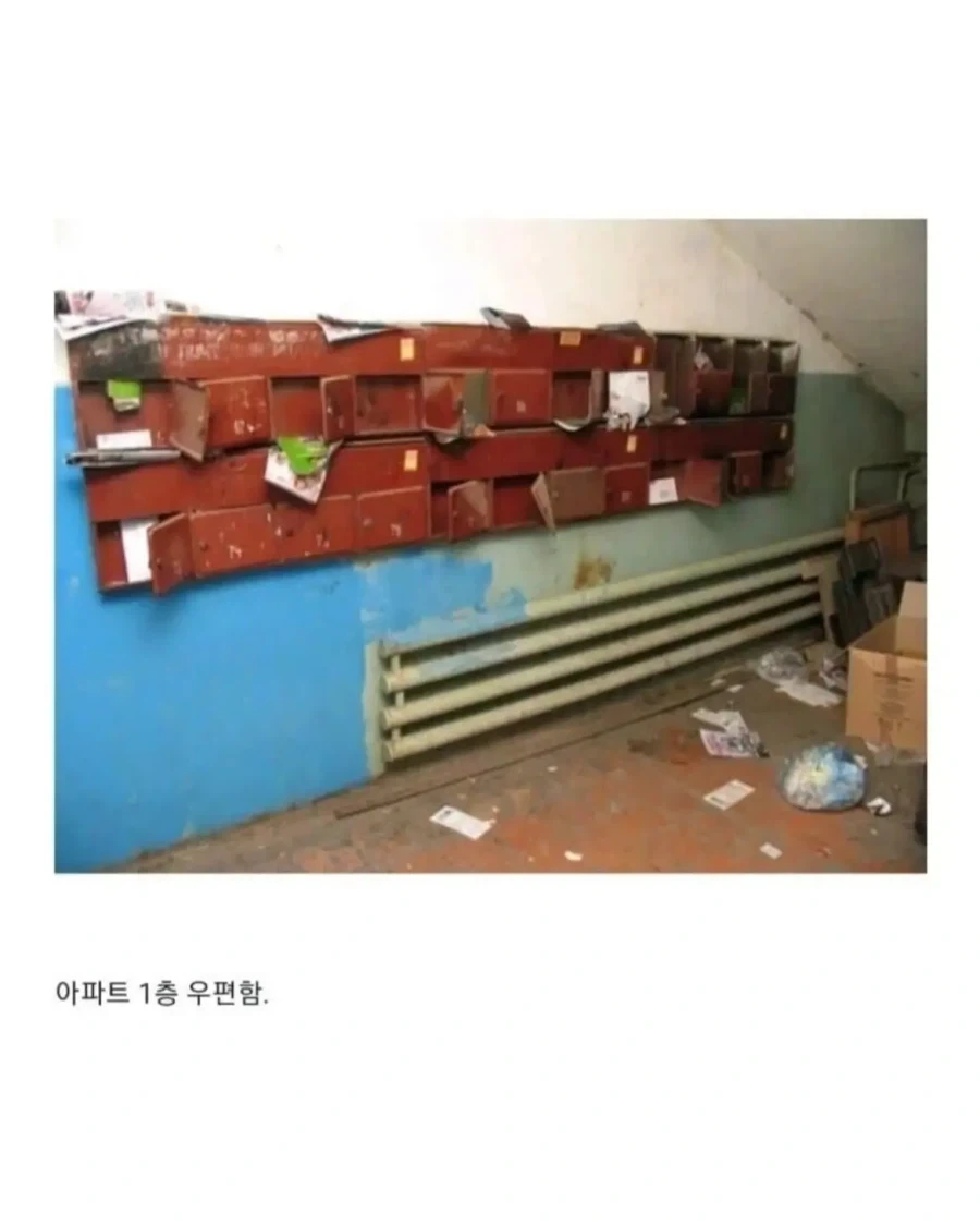 의외로 익숙하지만 다른 러시아의 풍경.jpg_8.webp