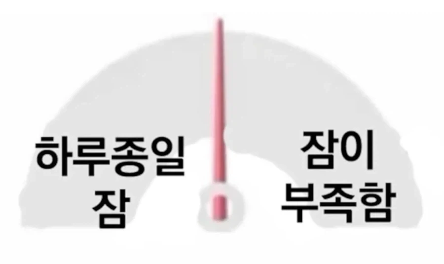 니들 라이프 스타일_1.webp
