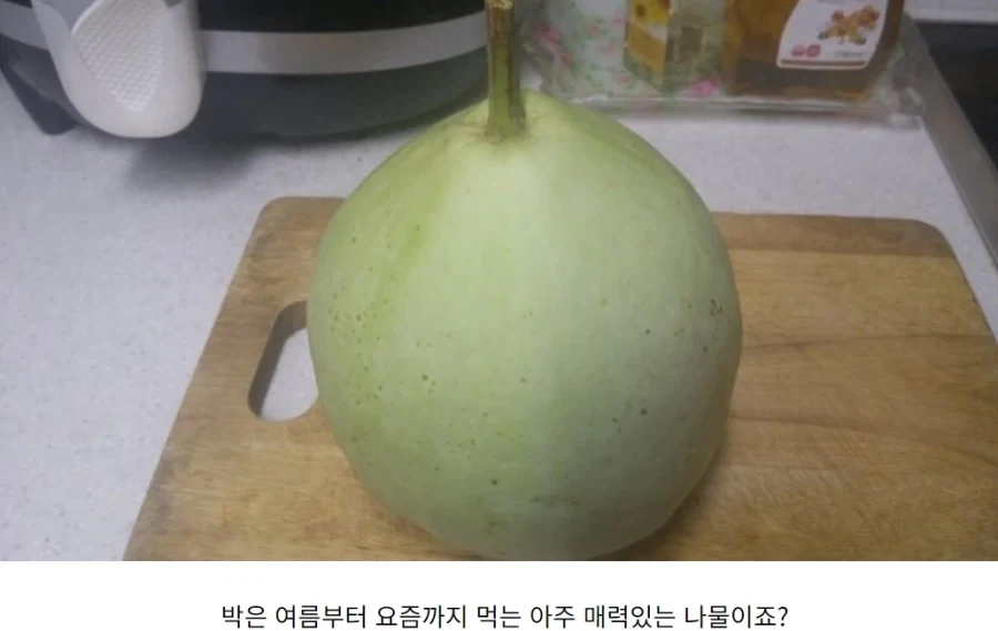 유명하지만, 거의 안먹는 한국 채소 박.._1.webp
