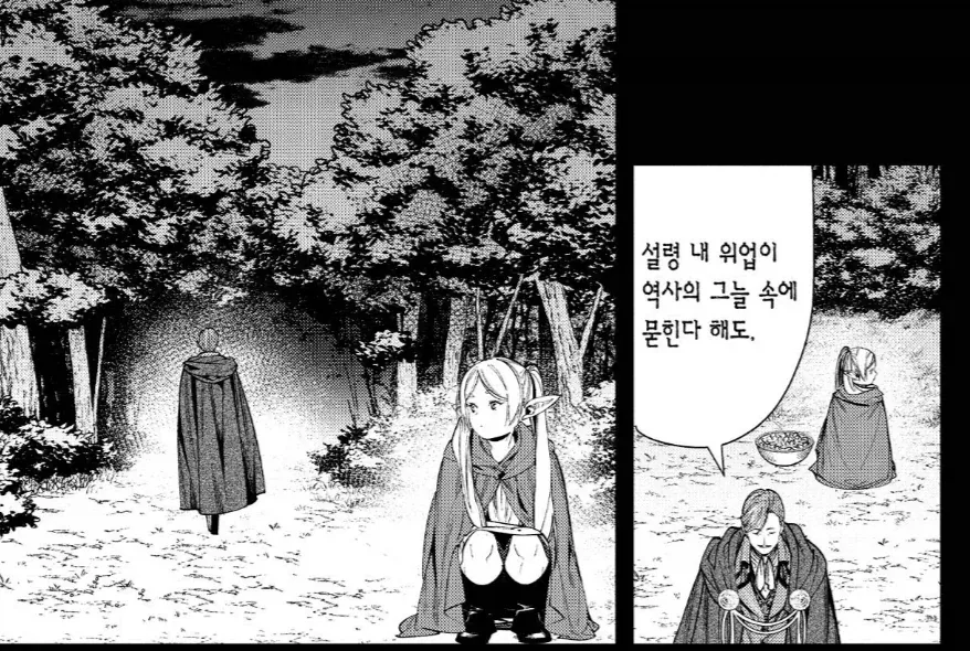 프리렌)용사로서 서사를 완벽하게 만든 마지막 한마디_3.webp