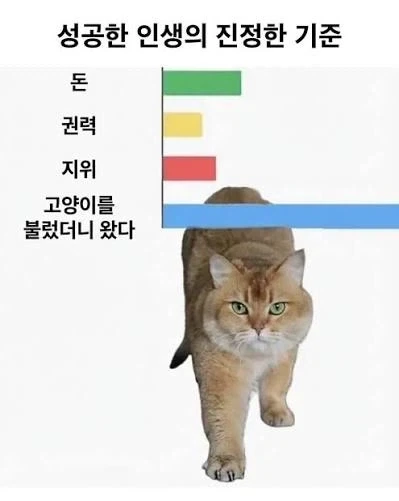 성공한 인생의 진정한 기준.jpg_1.webp