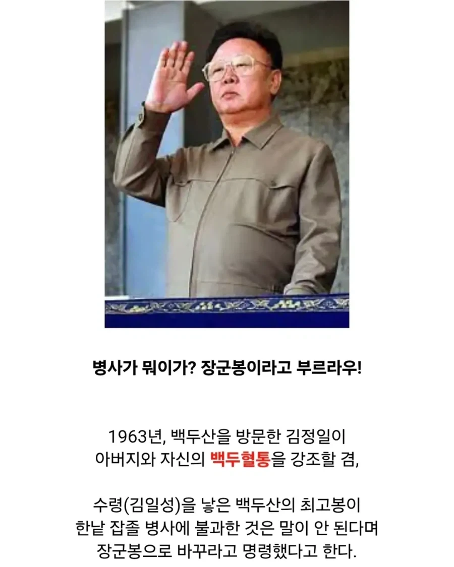 김정일의 무식한 트집잡기.jpg_3.webp