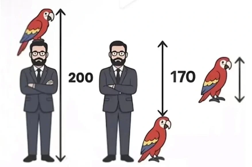 앵무새의 키를 구하시오_1.webp
