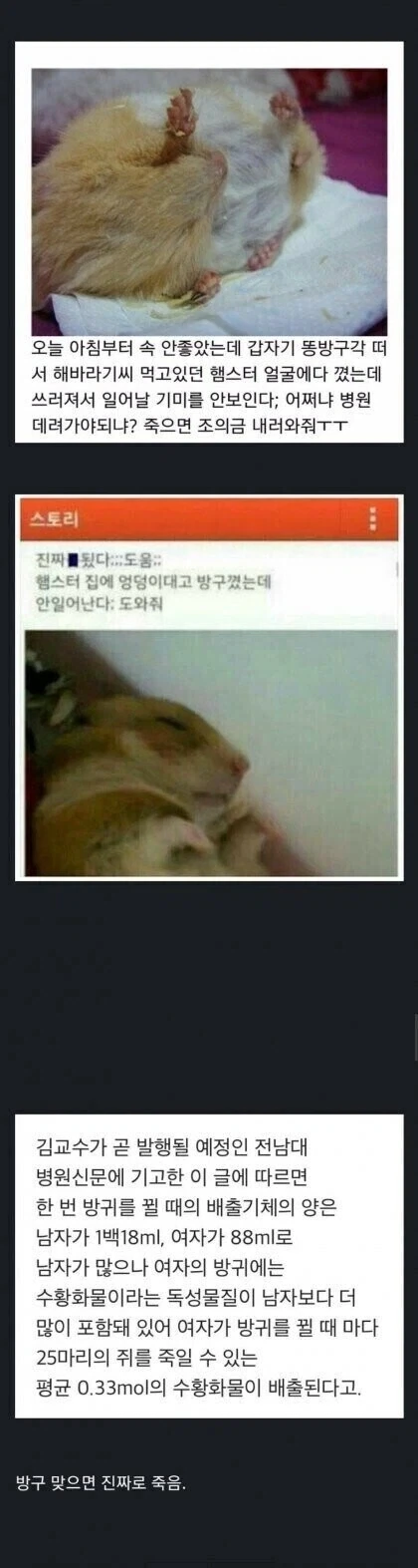 잘자가스 살포_1.webp